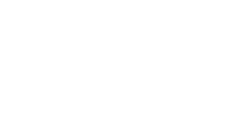 SEBRAE
